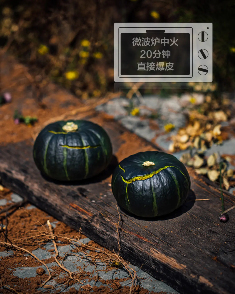 正宗贝贝南瓜一件代发老瓜麻仔惠和一号包邮对接电商平台社团