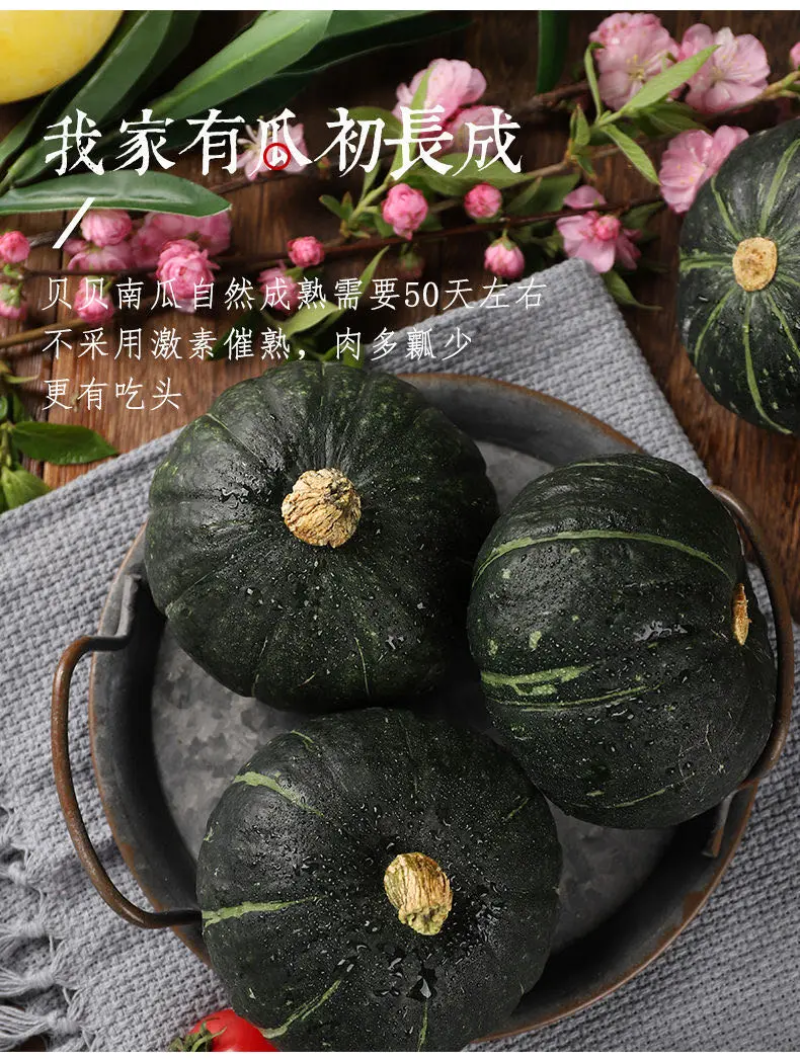 正宗贝贝南瓜一件代发老瓜麻仔惠和一号包邮对接电商平台社团