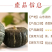 正宗贝贝南瓜一件代发老瓜麻仔惠和一号包邮对接电商平台社团