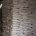 秘鲁原装进口鱼粉，养禽类猪狐貉水产宠物钓鱼打窝的好选择