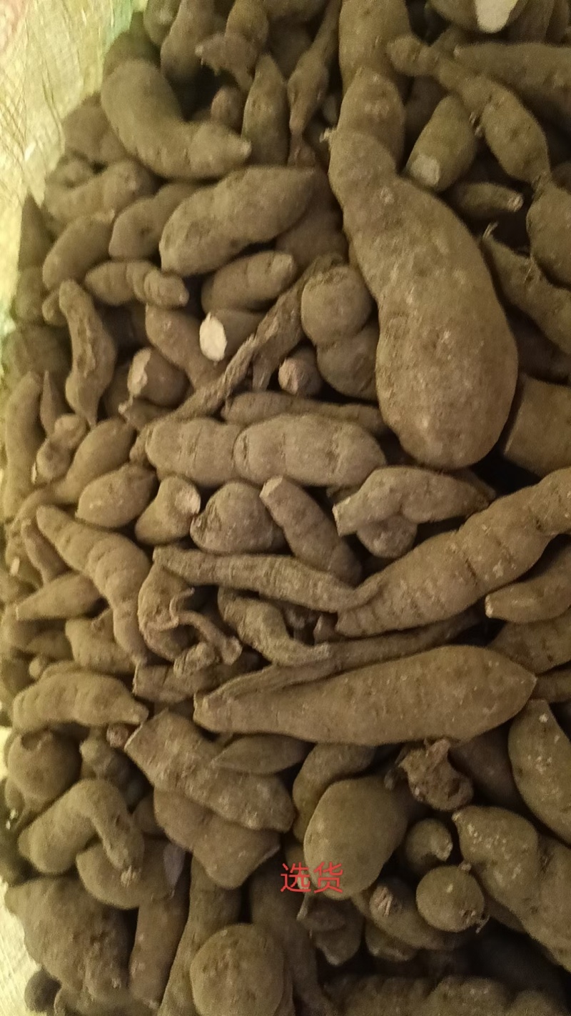 三叶青干货鲜货