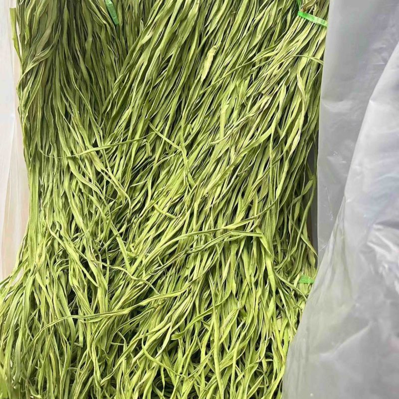 云南精品贡菜贡菜干，产地直销，货源充足规格齐全