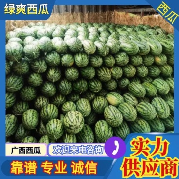 绿爽西瓜绿裳西瓜皮薄汁甜一手货源视频看货质量保障等您来电