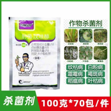 75%肟菌戊唑醇水稻稻瘟病早疫病晚疫病白粉病黑斑病