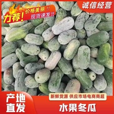 精品水果冬瓜大量上市.瓜型好.耐运输.基地直供欢迎咨询