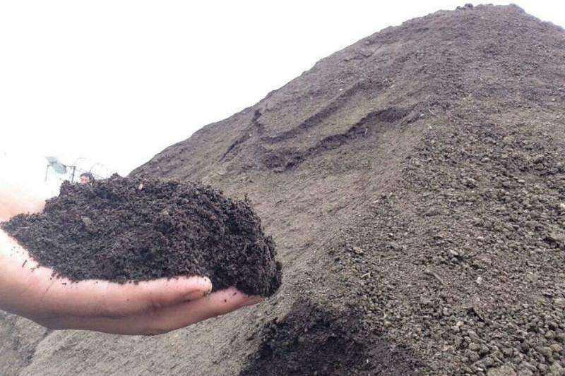 油栗秋季采收后土壤改良作业现场