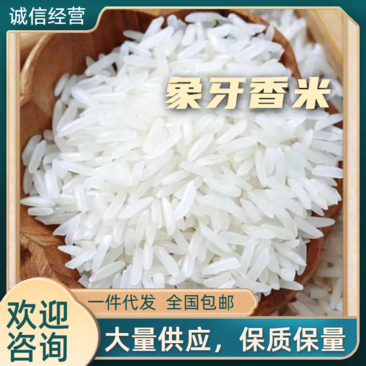 象牙香米一件代发量大价优对接各大商超电商