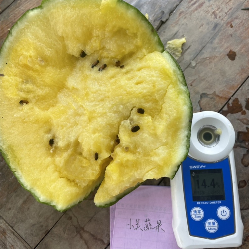 特小凤西瓜上市中，供应：市场电商社区团购，保质保量