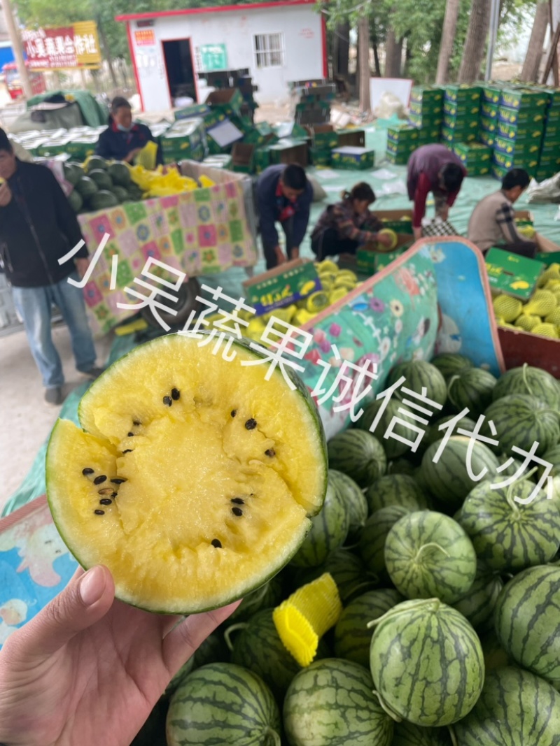 特小凤西瓜上市中，供应：市场电商社区团购，保质保量