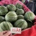 【精品】特小凤西瓜每日可供10万斤，保证质量，欢迎批发