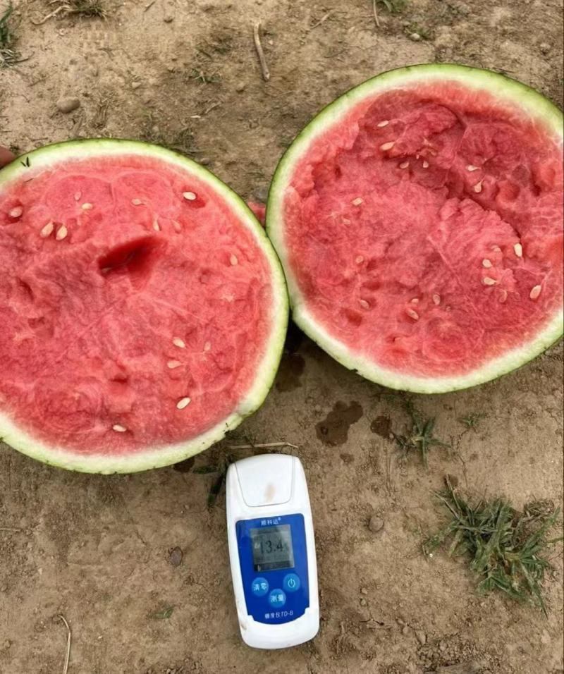 《夏邑万亩基地》精品美都西瓜无籽西瓜个头均匀保质保量
