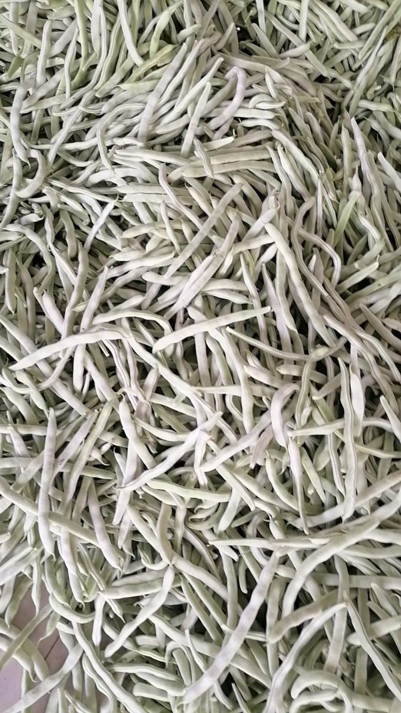 白不老大量上市