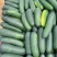 大量货