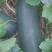 大量货