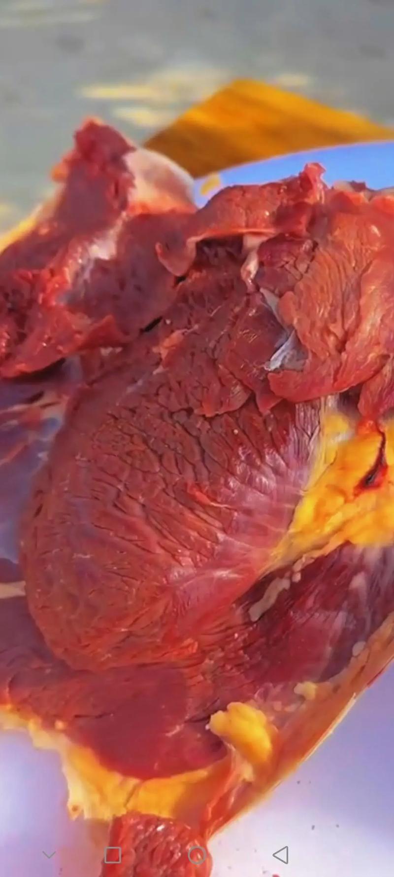 新鲜鸵鸟肉