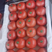 硬粉西红柿饶阳西红柿大量供应货源充足提供一条龙服务