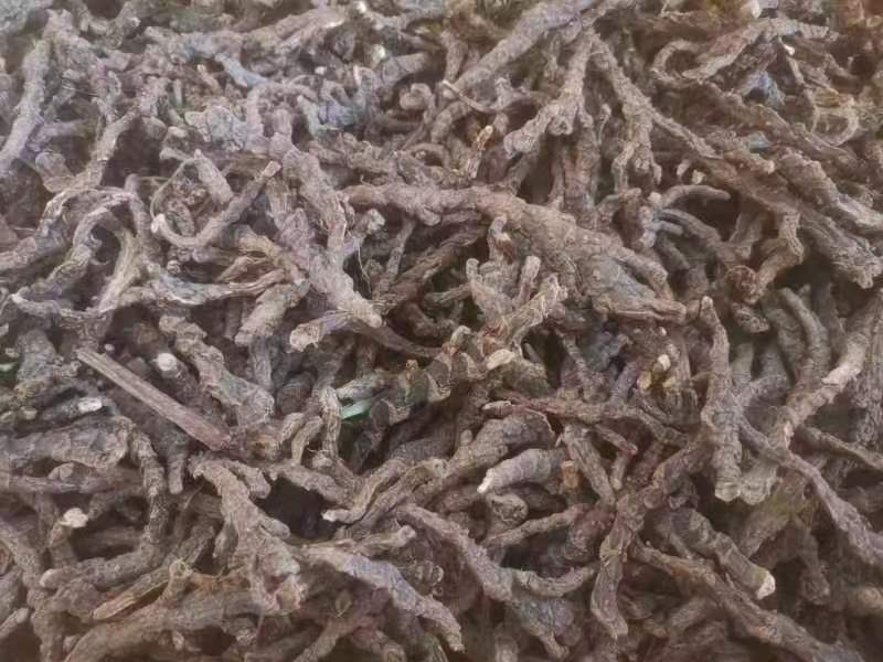 石菖蒲干货去根须干净无杂质货源充足质量保证