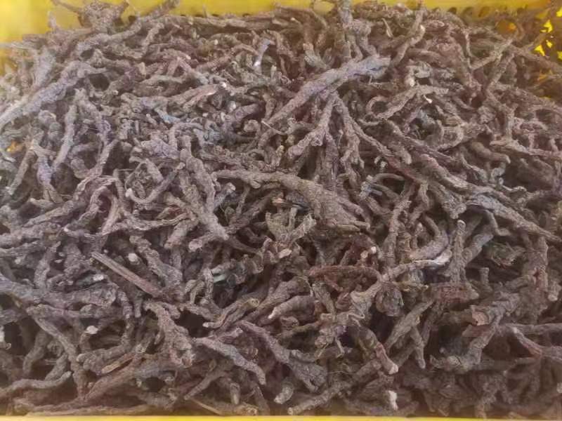 石菖蒲干货去根须干净无杂质货源充足质量保证