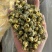 胎菊，新货无硫，过筛，金丝皇菊，实拍现货24小时内发货