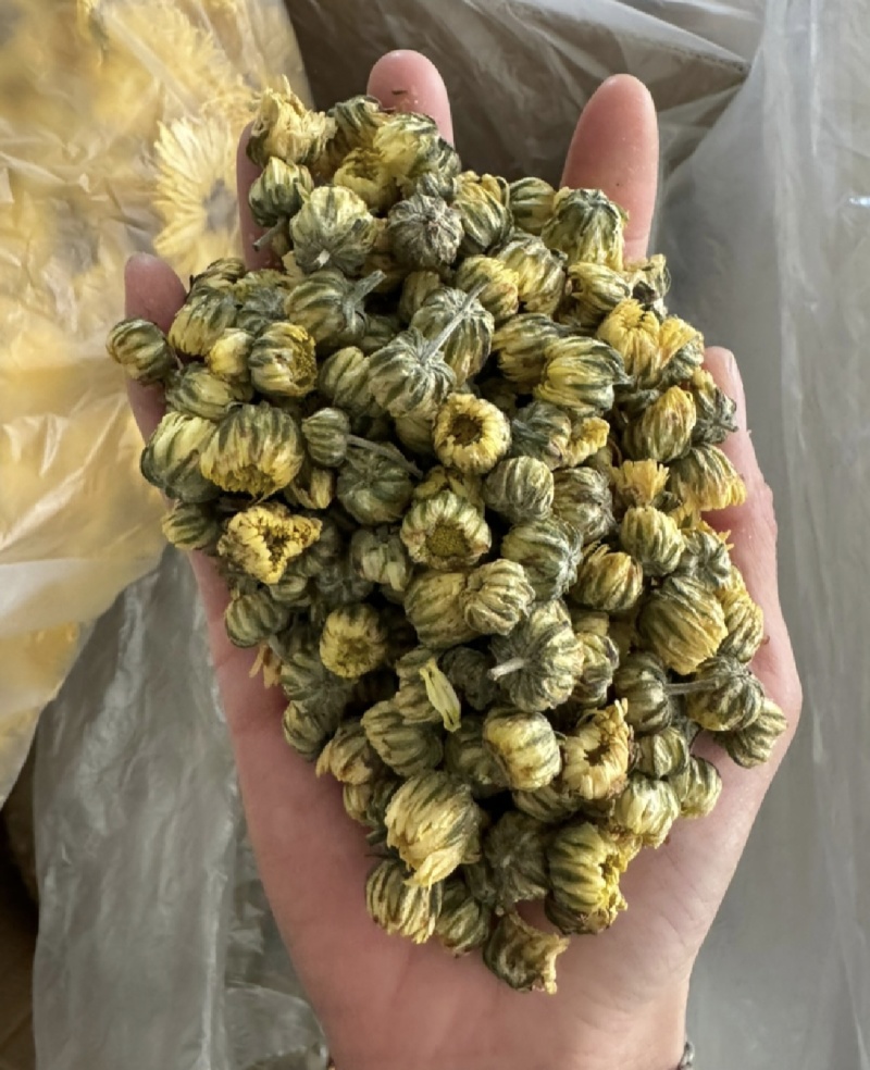 胎菊，新货无硫，过筛，金丝皇菊，实拍现货24小时内发货