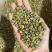 胎菊，新货无硫，过筛，金丝皇菊，实拍现货24小时内发货