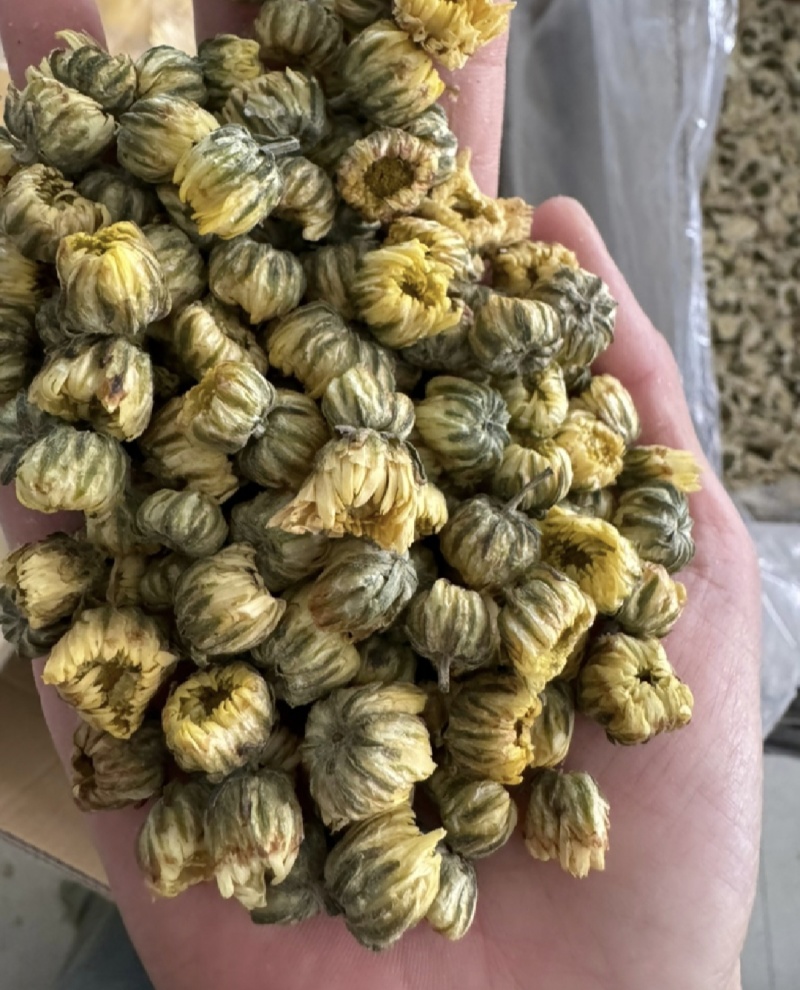 胎菊，新货无硫，过筛，金丝皇菊，实拍现货24小时内发货