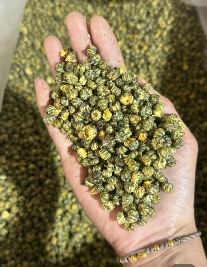 胎菊，新货无硫，过筛，金丝皇菊，实拍现货24小时内发货