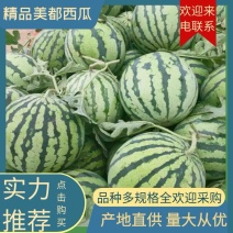 【推荐】安徽精品美都西瓜大量上市品质保证欢迎咨询