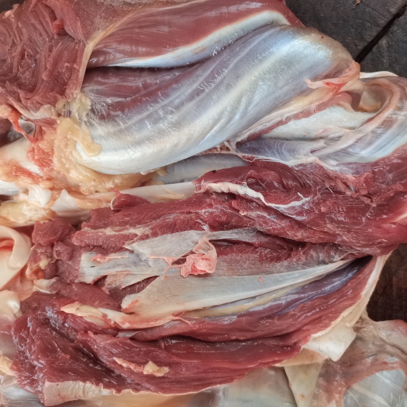 新鲜鸵鸟肉