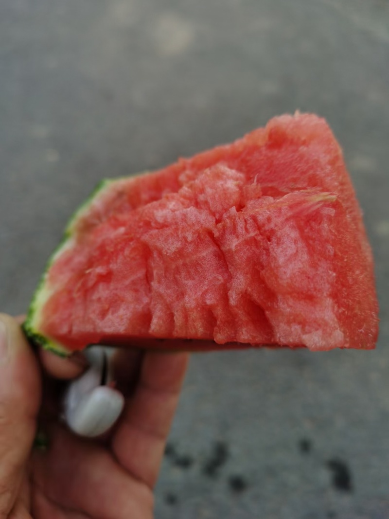 冰糖心小糖丸西瓜