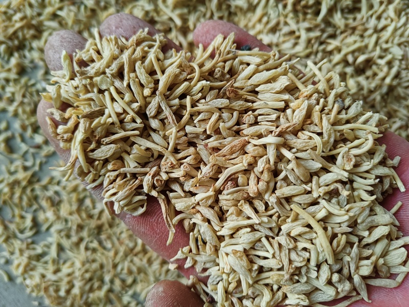 好根米
