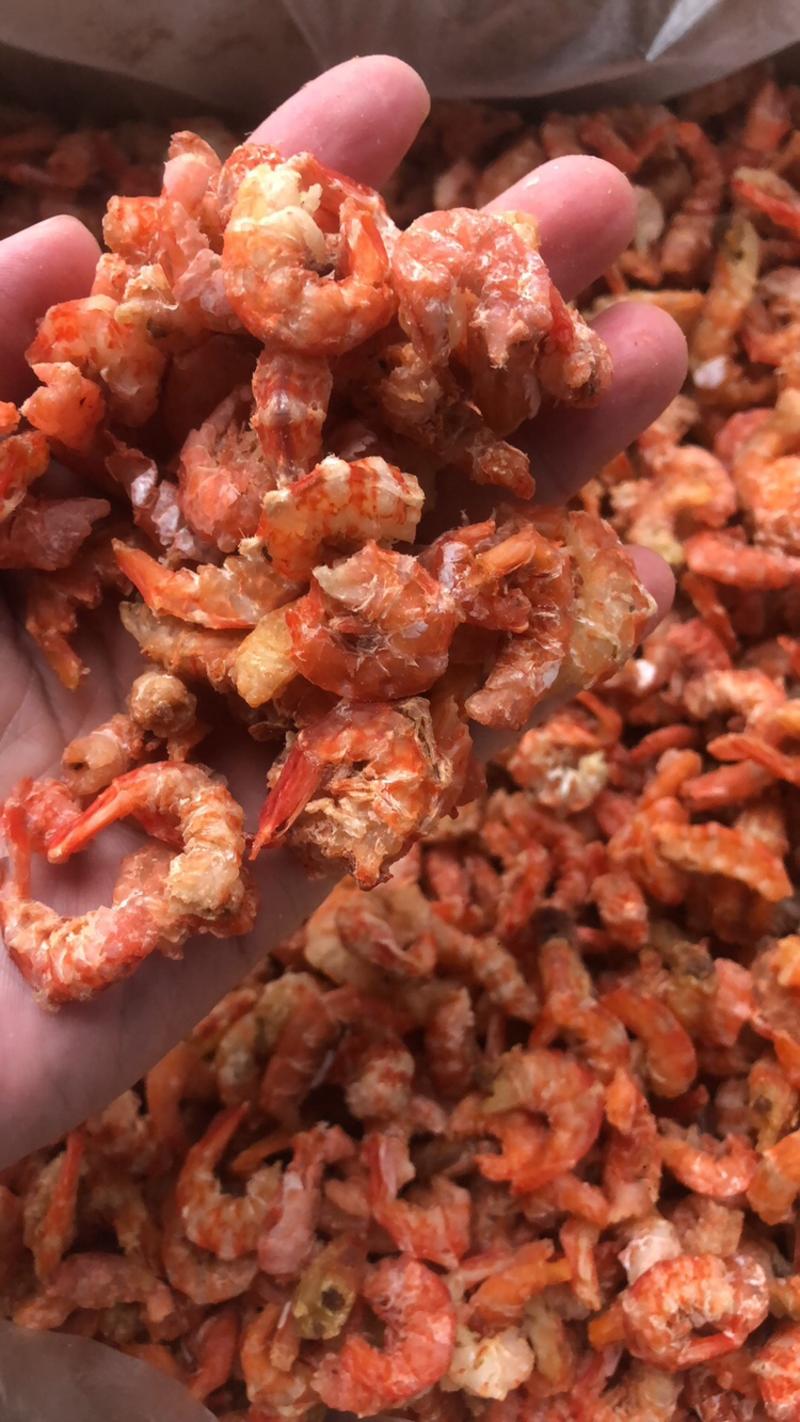虾米干，金钩虾，大量批发，海捕海虾，质量上乘
