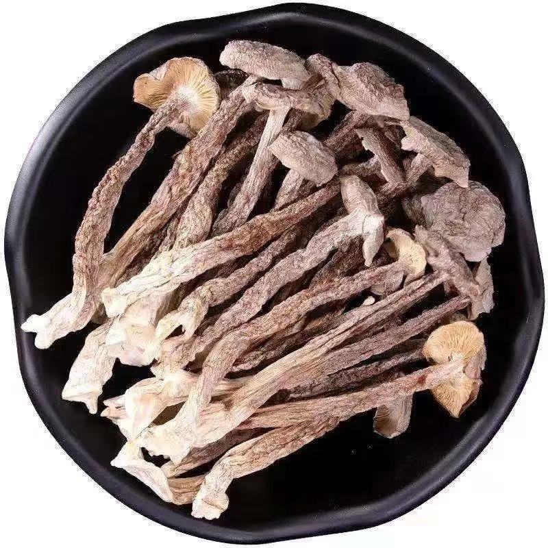 鹿茸菌新货鹿茸菇无硫新鲜香菇干货福建特产鹿茸菇可批发煲汤