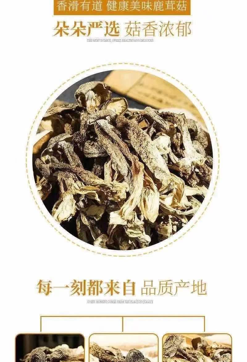 鹿茸菌新货鹿茸菇无硫新鲜香菇干货福建特产鹿茸菇可批发煲汤