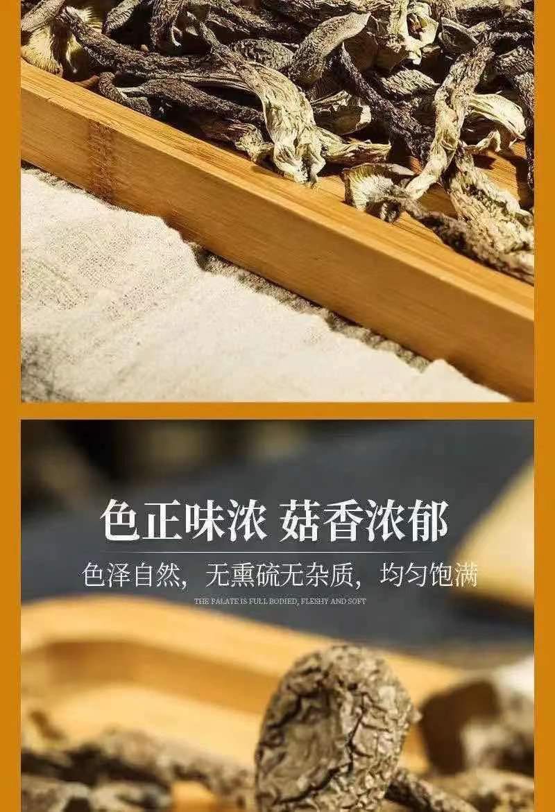 鹿茸菌新货鹿茸菇无硫新鲜香菇干货福建特产鹿茸菇可批发煲汤