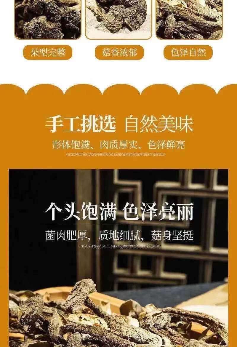 鹿茸菌新货鹿茸菇无硫新鲜香菇干货福建特产鹿茸菇可批发煲汤