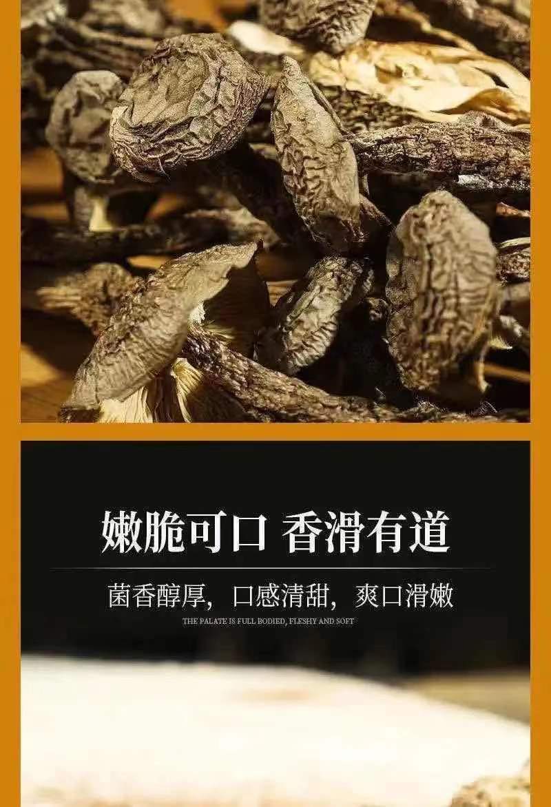 鹿茸菌新货鹿茸菇无硫新鲜香菇干货福建特产鹿茸菇可批发煲汤