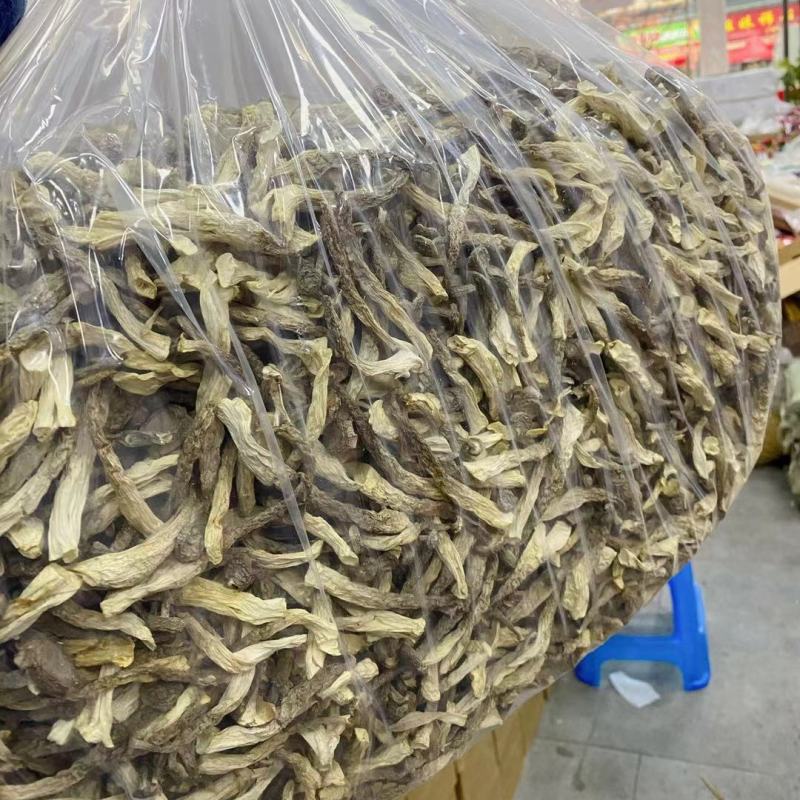 鹿茸菌新货鹿茸菇无硫新鲜香菇干货福建特产鹿茸菇可批发煲汤