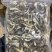 鹿茸菌新货鹿茸菇无硫新鲜香菇干货福建特产鹿茸菇可批发煲汤