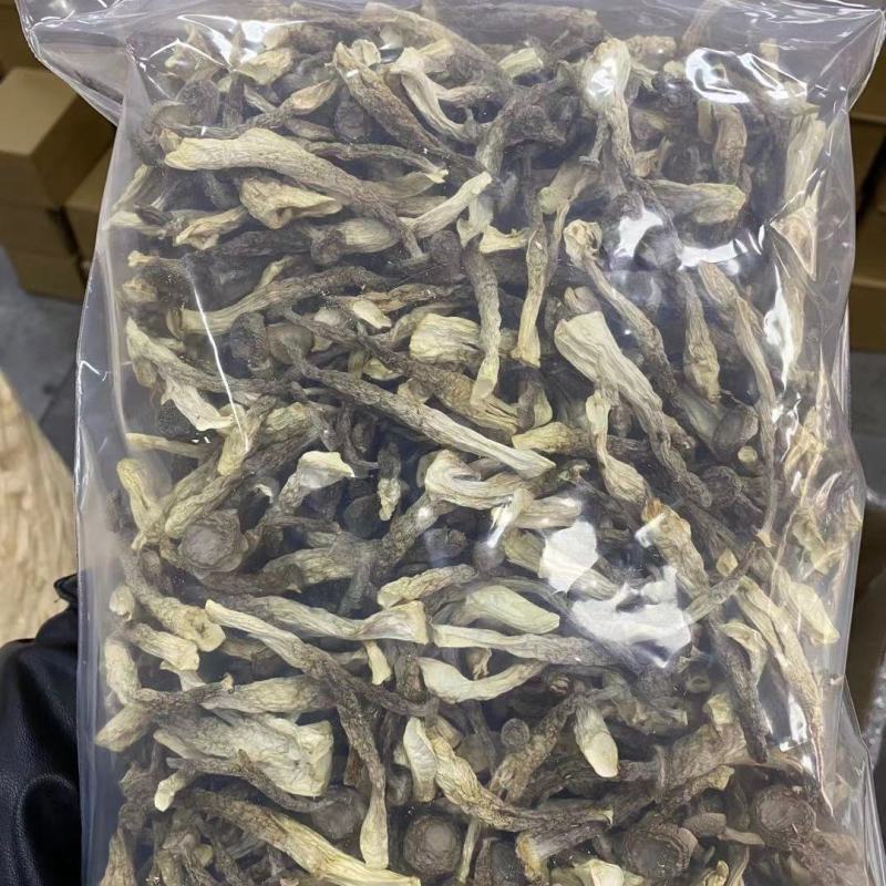 鹿茸菌新货鹿茸菇无硫新鲜香菇干货福建特产鹿茸菇可批发煲汤