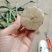 精品紫皮大蒜