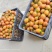 今年果子已成熟，满树红果，喜欢你发话，给钱就卖！！！