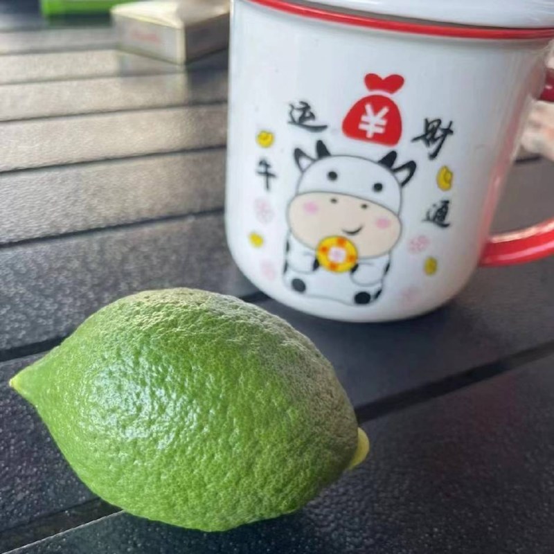 广东香水柠檬品质保证自家基地接商超市场电商一件代发
