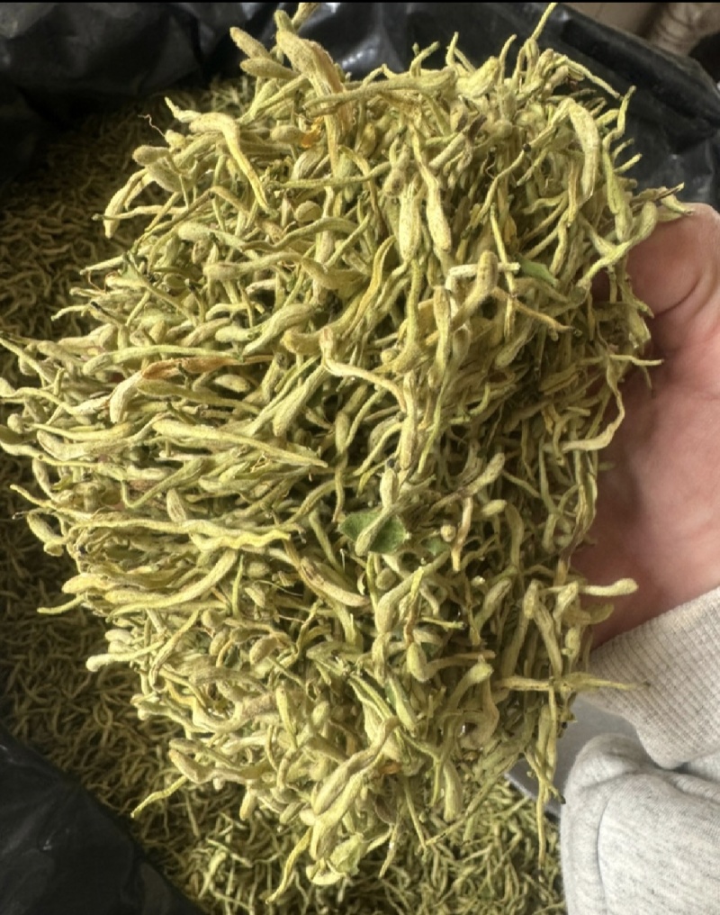 金银花无山银花无硫实拍现货24小时内发货