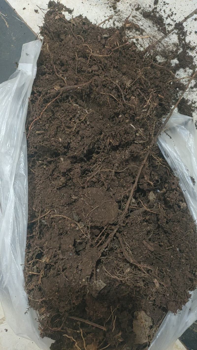腐殖土，有机肥