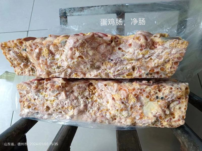 鸡肠蛋鸡肠