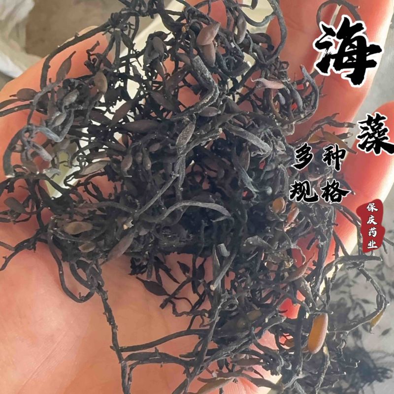 海藻药用海藻海罗乌菜海带花发货前过筛如图