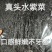 头水紫菜无沙无油无料包纯紫菜厂家直销烘干商用实惠散装批发