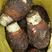 湛江槟榔芋头大量供应，市场货，工厂货，电商货，质量保证