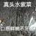头水紫菜无沙无油无料包纯紫菜厂家直销烘干商用实惠散装批发